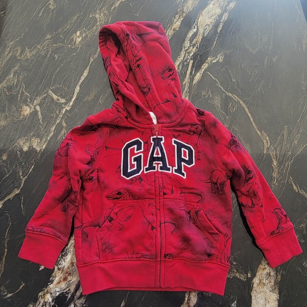 GAP Zip Up Hoodie - Toddler Size 3